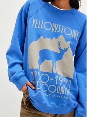🌸Free People X Retrobrand Graphic Great Escape Yellowstone Pullover Amparo Blue